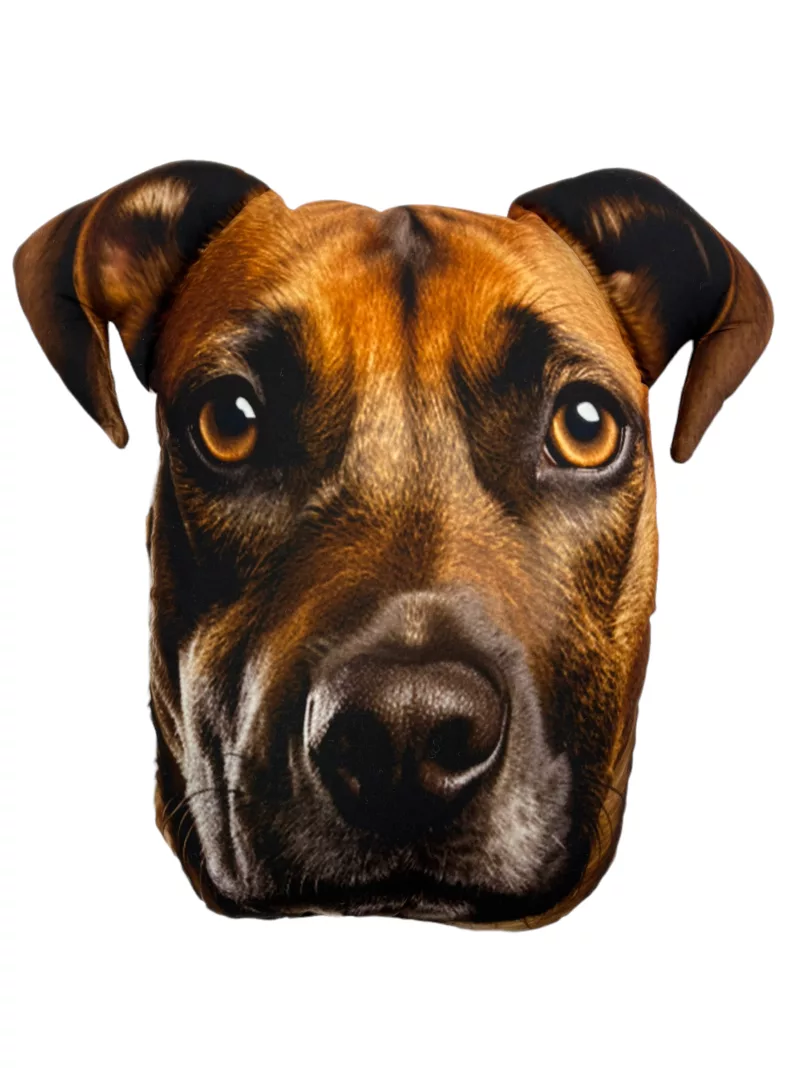 Poduszka 3D - Bokser