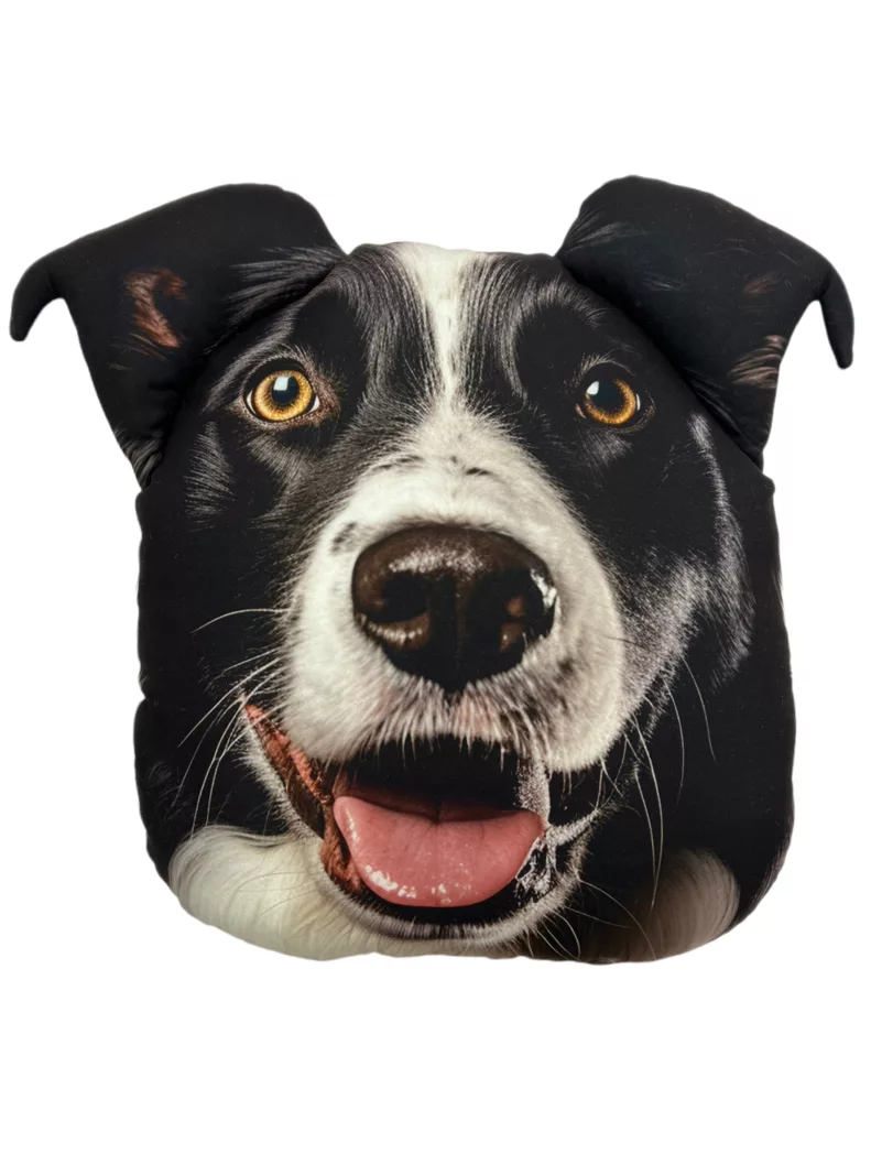Poduszka 3D - Border collie