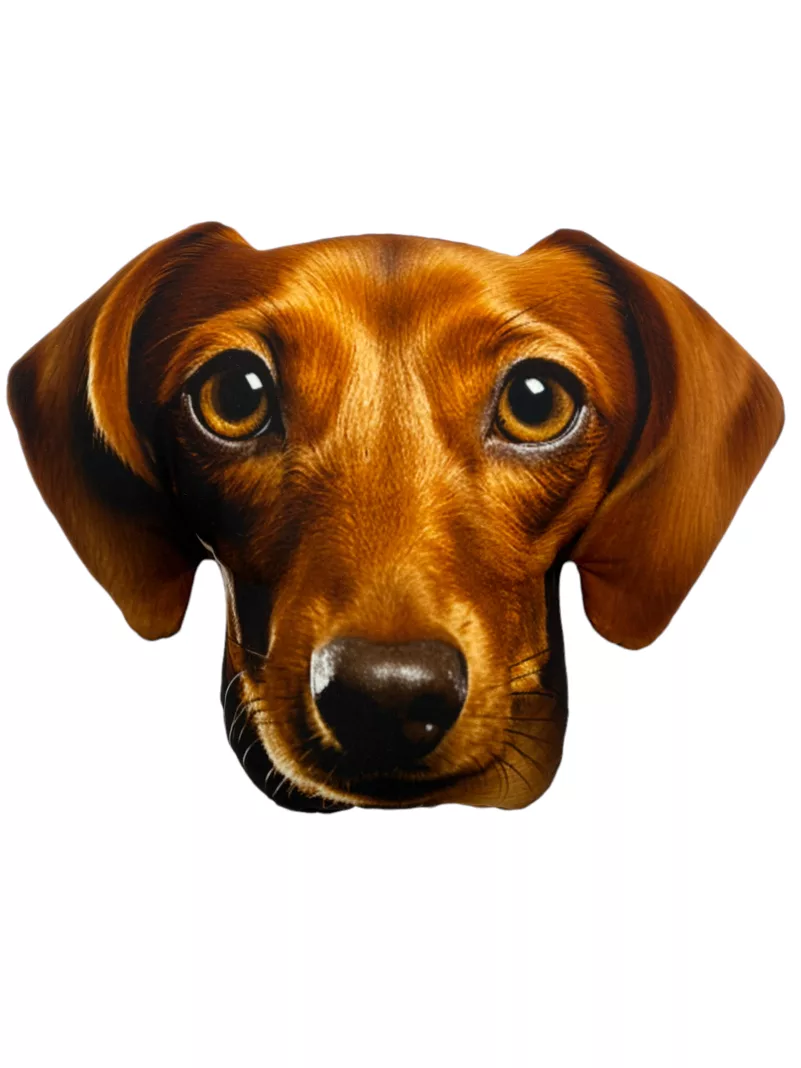 Poduszka 3D - Jamnik