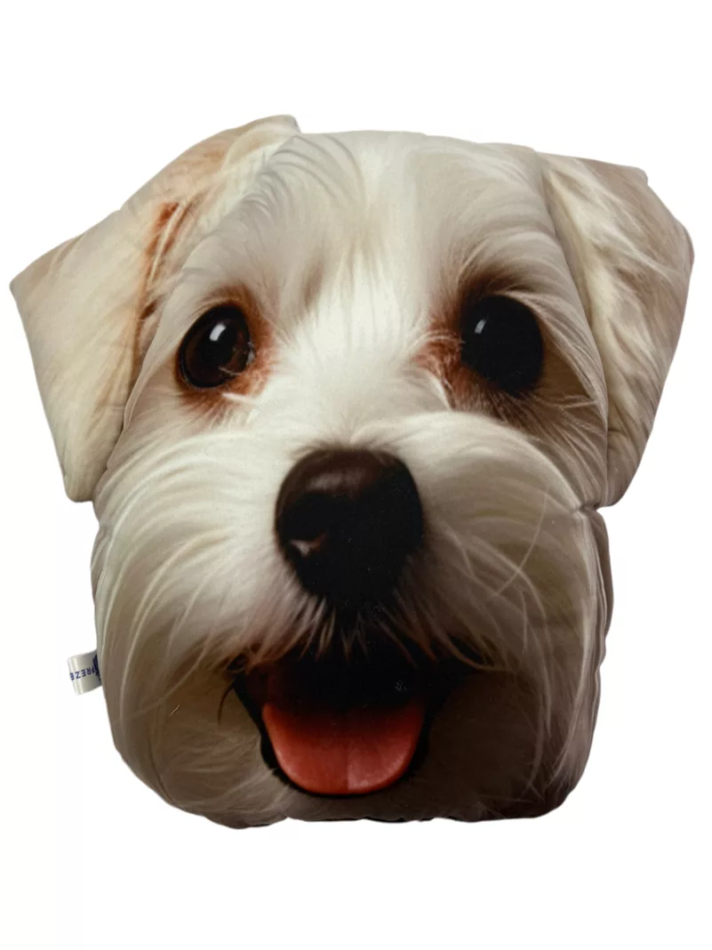 Poduszka 3D - Maltańczyk