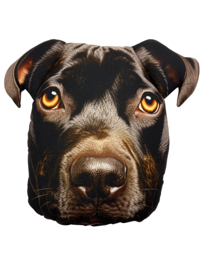 Poduszka 3D - Pitbull