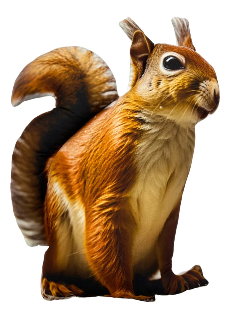 Poduszka 3D - Wiewiórka