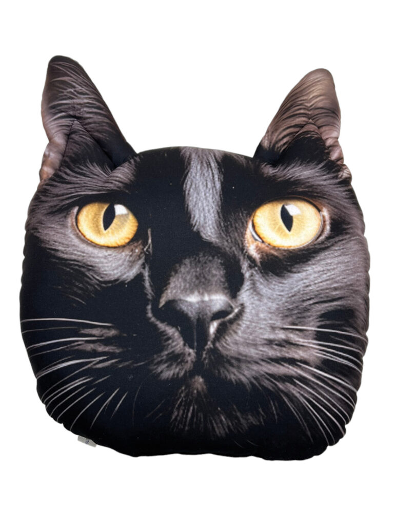 Czarny kot Poduszka 3D