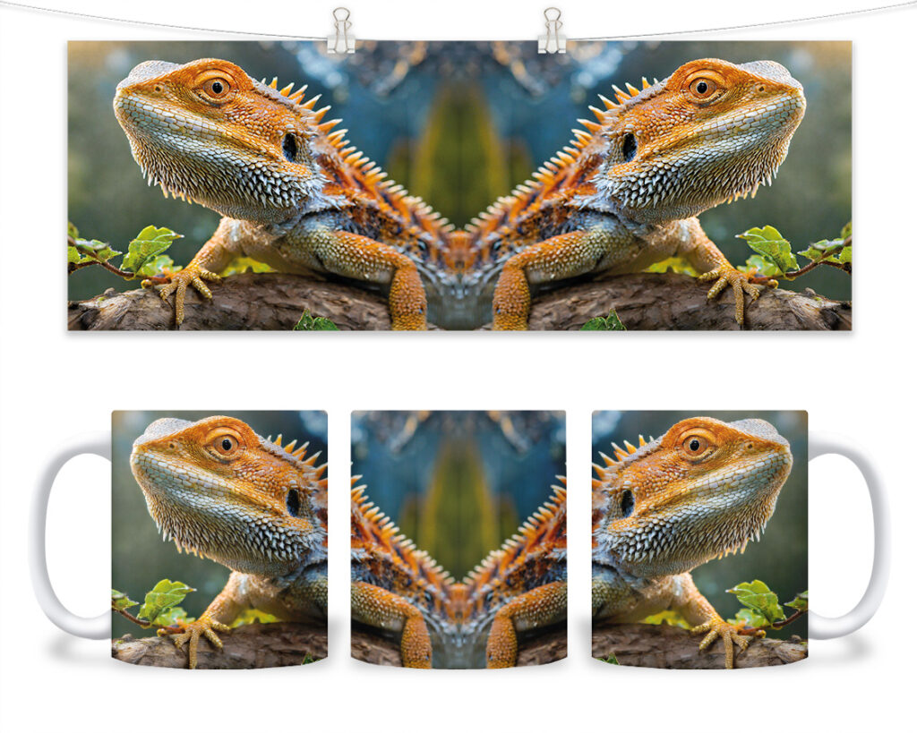 Kubek - 188 - Agama brodata