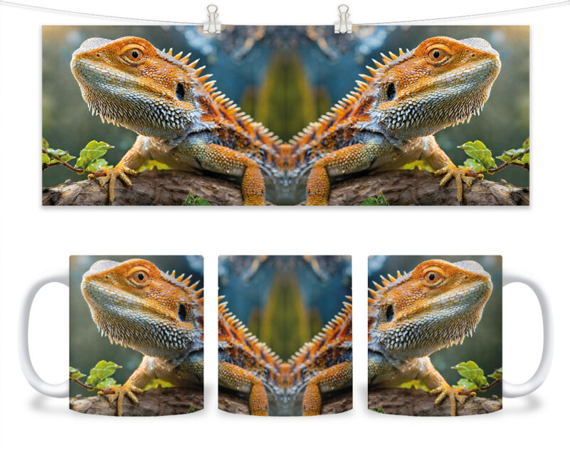 Kubek - 188 - Agama brodata