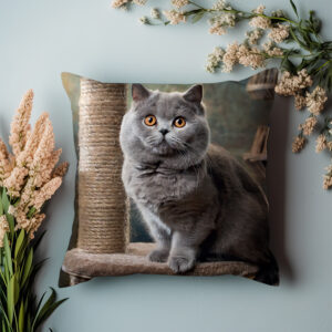 P08 - Poduszka - Kot brytyjski na drapaku 2