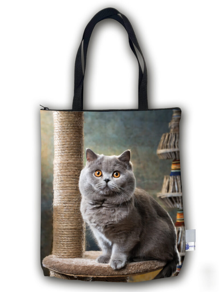 TP08 - Torba PREMIUM - Kot brytyjski na drapaku