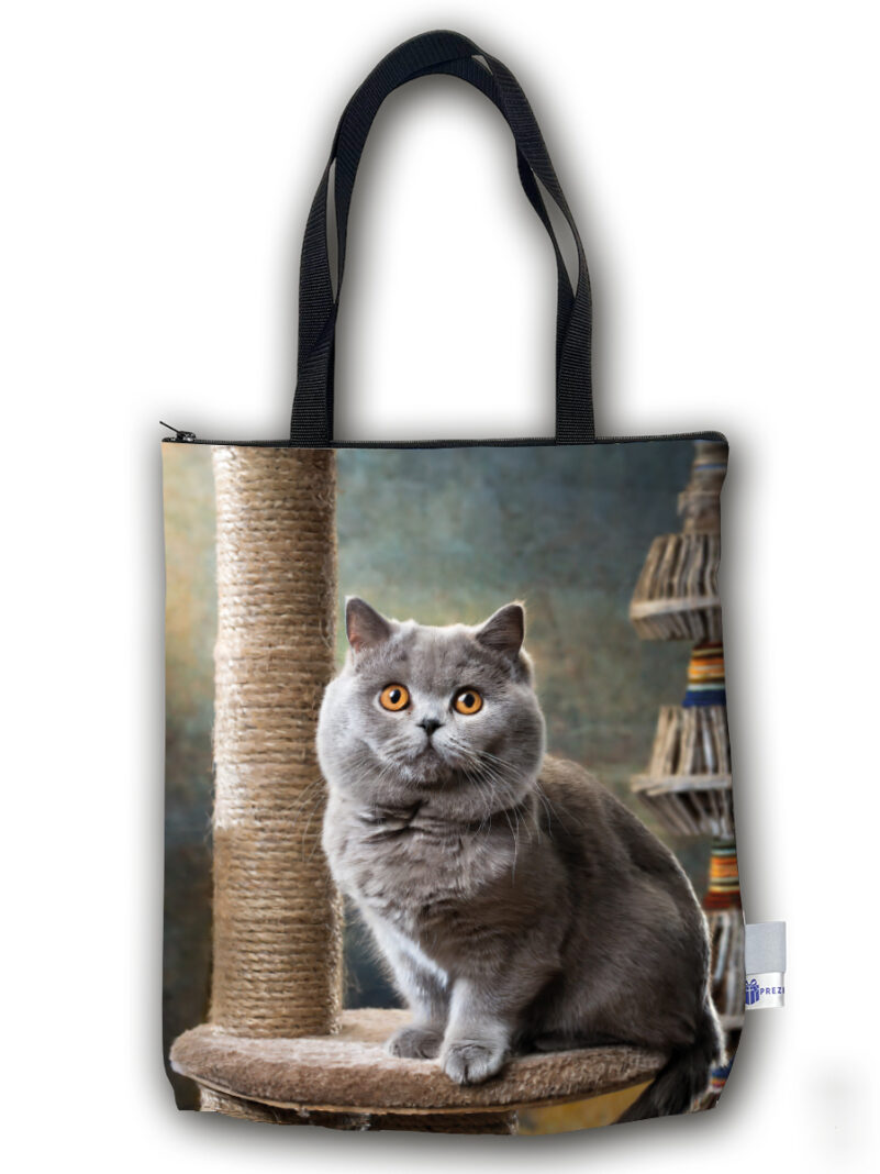 TP08 - Torba PREMIUM - Kot brytyjski na drapaku
