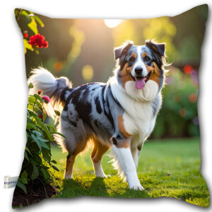 P220 - Poduszka - Owczarek australijski